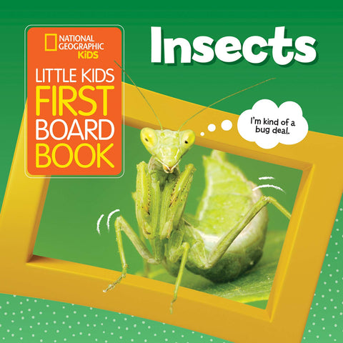 Little Kids First Board Book: Insects