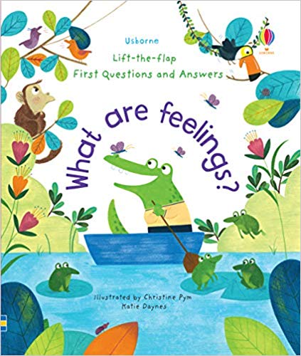 What are Feelings? (Lift-the-Flap First Questions & Answers)