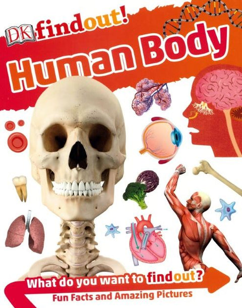 DK Findout! Human Body