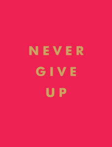 NEVER GIVE UP: INSPIRATIONAL QUOTES FOR INSTANT MOTIVATION