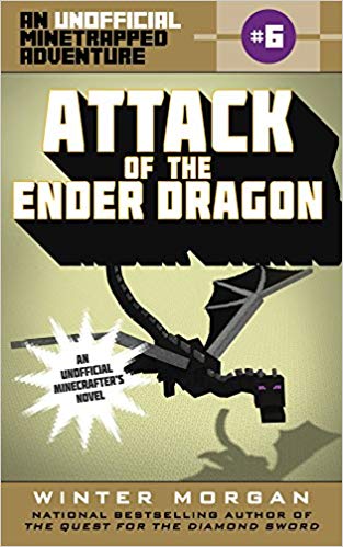 Attack Of The Ender Dragon