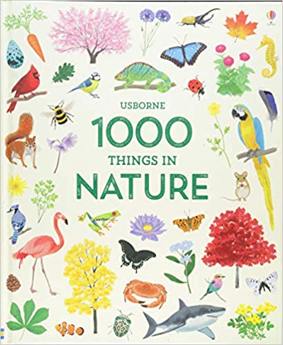 1000 Things in Nature