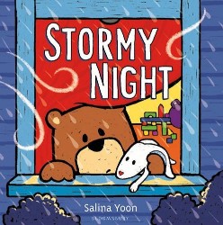 Stormy Night