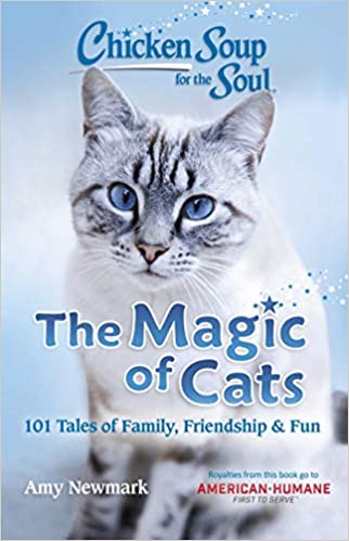 CS for the Soul: The Magic of Cats